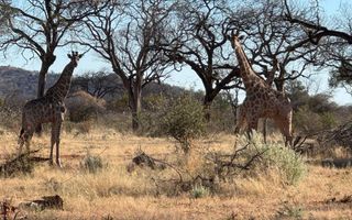 Hospitality For Sale in Otavi