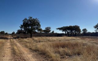 Hospitality For Sale in Otavi