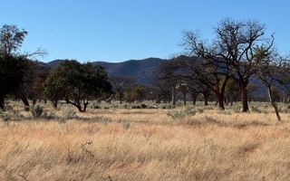 Hospitality For Sale in Otavi