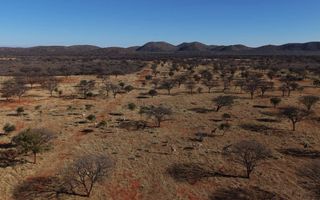 Hospitality For Sale in Otavi
