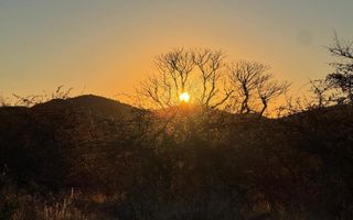 Hospitality For Sale in Otavi