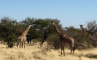 2 Bedroom Farm For Sale in Omaruru