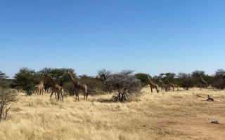 2 Bedroom Farm For Sale in Omaruru