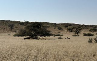 Farm For Sale in Mariental