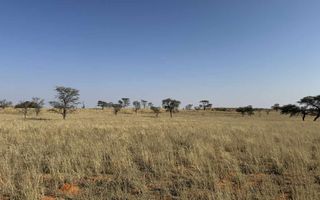 Farm For Sale in Mariental