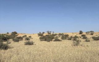 Farm For Sale in Mariental