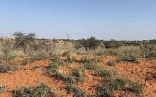 Farm For Sale in Mariental