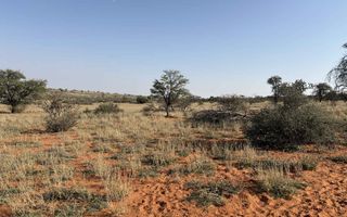 Farm For Sale in Mariental