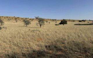 Farm For Sale in Mariental
