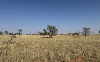 Farm For Sale in Mariental