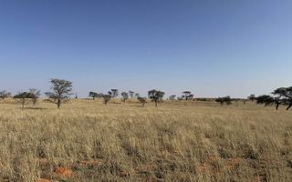 Farm For Sale in Mariental