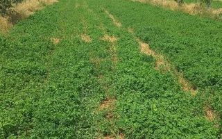 Farm For Sale in Otjiwarongo