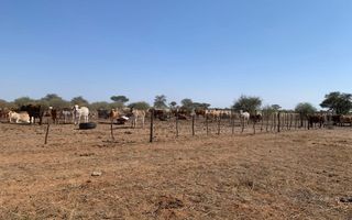 Farm For Sale in Otjiwarongo
