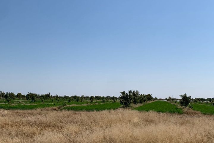 Farm For Sale in Otjiwarongo