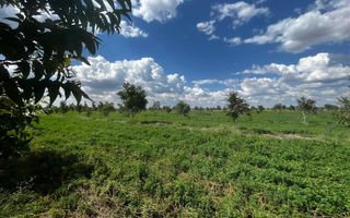 Farm For Sale in Otjiwarongo