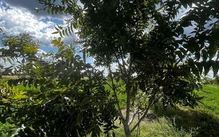 Farm For Sale in Otjiwarongo