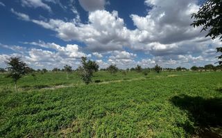 Farm For Sale in Otjiwarongo