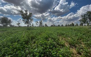 Farm For Sale in Otjiwarongo