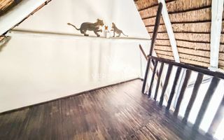 9 Bedroom Small Holding / Plot For Sale in Brakwater, Windho...