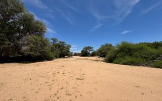 Farm For Sale in Kalkfeld