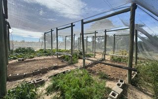 Farm For Sale in Kalkfeld
