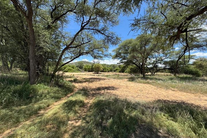 Farm For Sale in Kalkfeld
