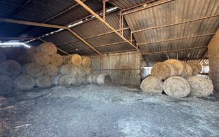 Farm For Sale in Otavi