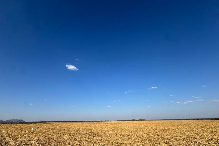 Farm For Sale in Otavi