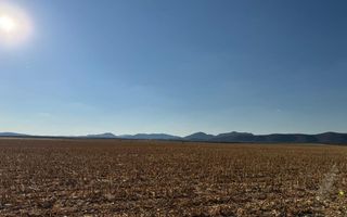 Farm For Sale in Otavi