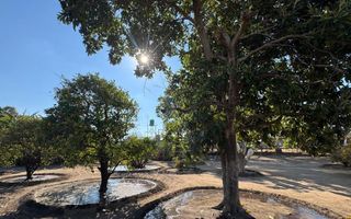 Farm For Sale in Otavi