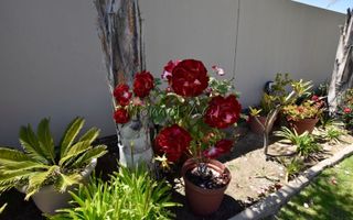 4 Bedroom House For Sale in Dunes, Swakopmund