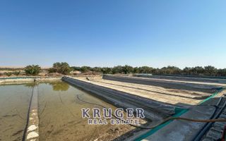 5 Bedroom Small Holding / Plot For Sale in River Plots, Swak...