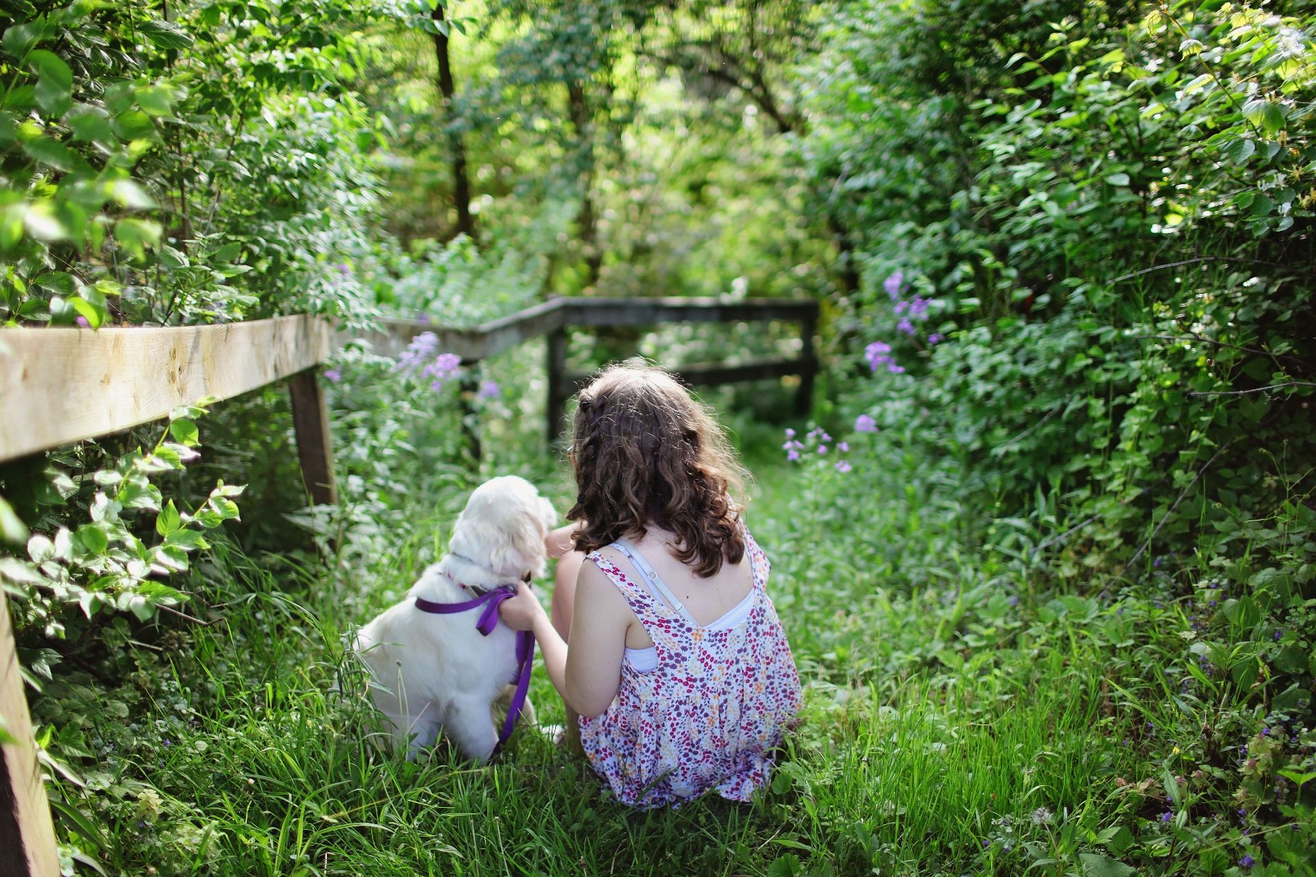 SIGNS THAT YOUR GARDEN IS TOO SMALL FOR YOUR DOG