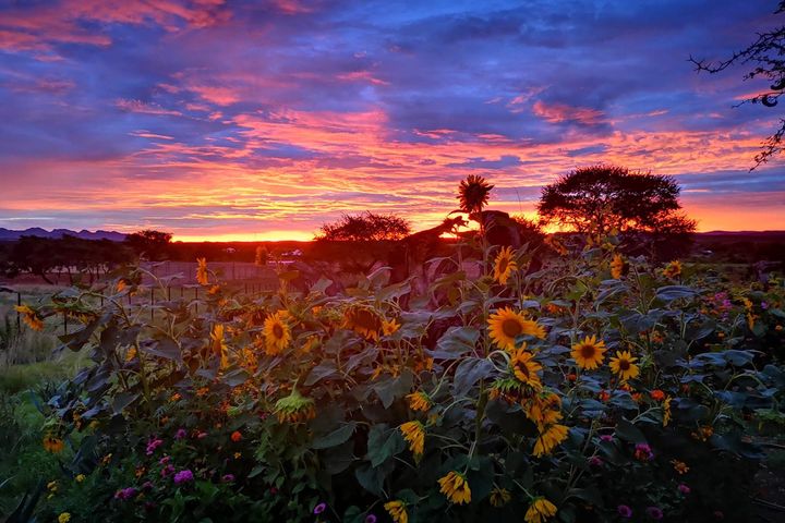 House For Sale in Windhoek Central, Windhoek