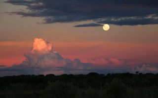 House For Sale in Windhoek Central, Windhoek