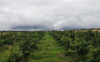 Farm For Sale in Windhoek Central, Windhoek