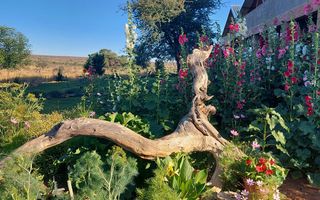 Farm For Sale in Windhoek Central, Windhoek