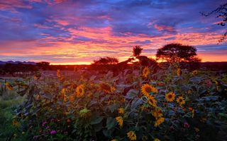 Farm For Sale in Windhoek Central, Windhoek
