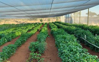 Farm For Sale in Windhoek Central, Windhoek