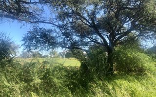 House For Sale in Windhoek Central, Windhoek