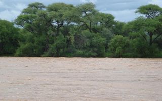 Farm For Sale in Omaruru