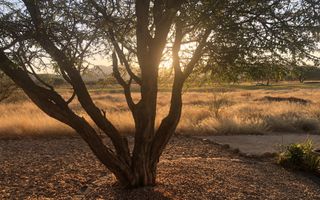 4 Bedroom House For Sale in Omeya, Windhoek