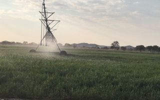 Farm For Sale in Windhoek Central, Windhoek