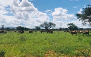 Farm For Sale in Windhoek Central, Windhoek