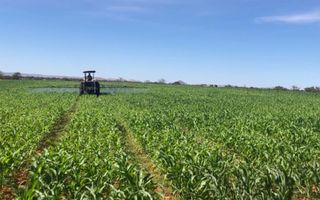 Farm For Sale in Windhoek Central, Windhoek