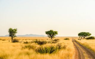 Farm For Sale in Windhoek Central, Windhoek