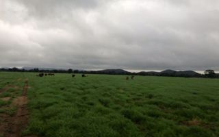 Farm For Sale in Windhoek Central, Windhoek