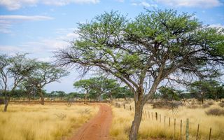 Farm For Sale in Windhoek Central, Windhoek