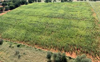 Farm For Sale in Windhoek Central, Windhoek