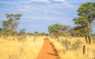 Farm For Sale in Windhoek Central, Windhoek